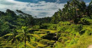Bali